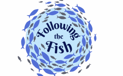 Following the Fish Pop-up Exhibition